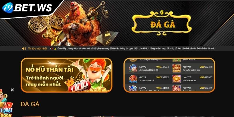 Đá Gà WS168 I9BET Nơi Hội Tụ Của Những Chiến Kê Huyền Thoại 1 Giới thiệu đôi nét về đá gà WS168 I9BET